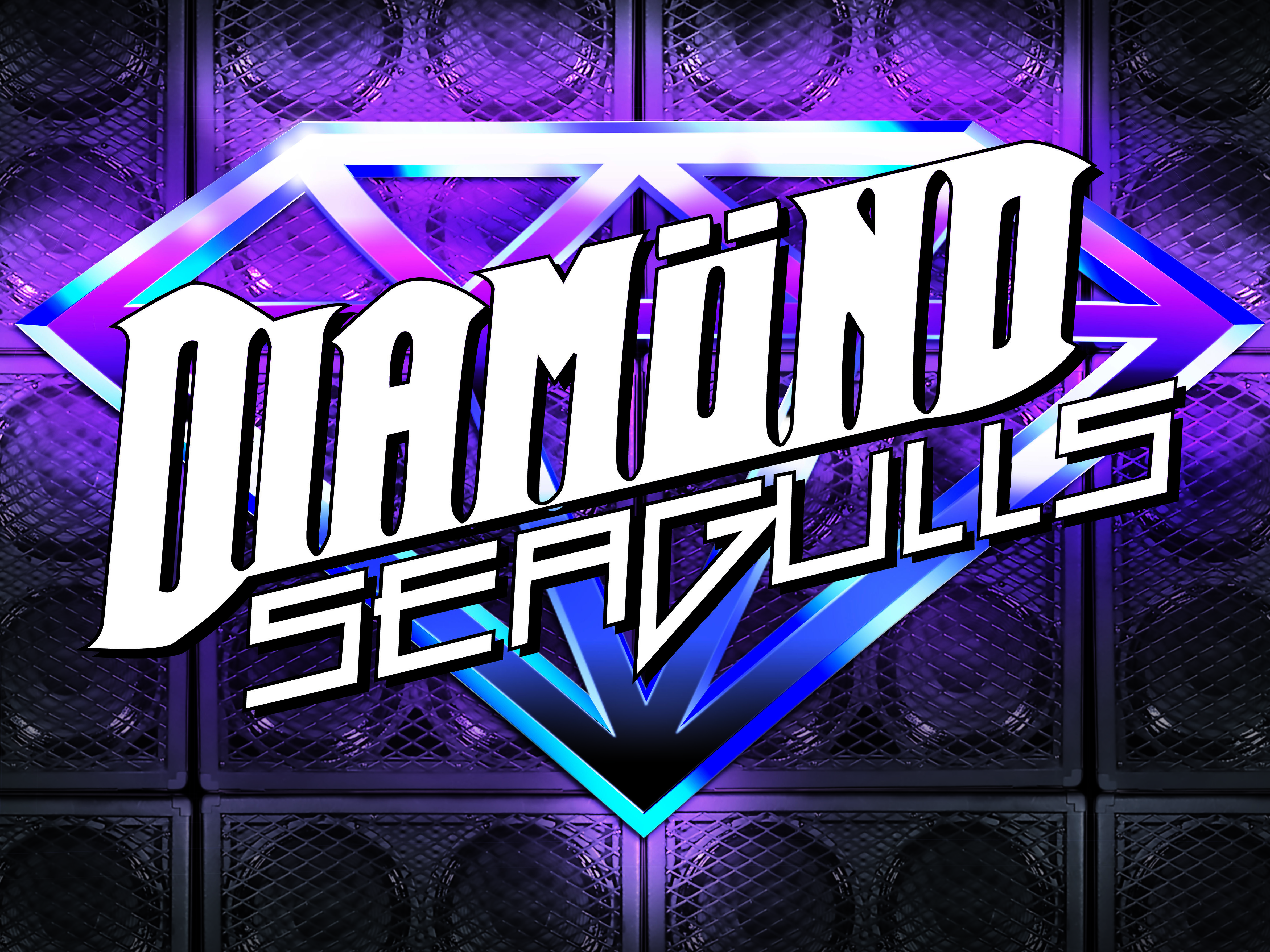 Diamond Seagulls Stage Banner