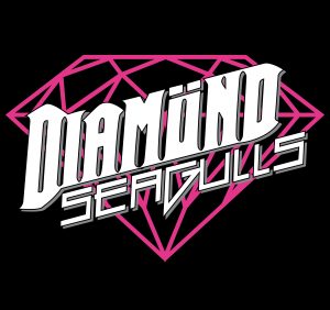 Logo Diamond Seagulls _schwarz